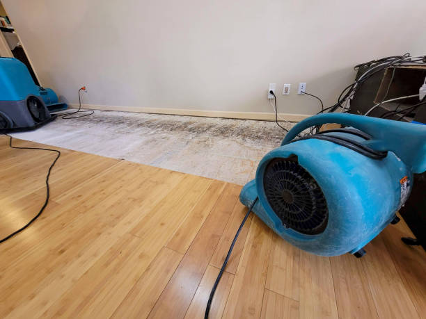 Reliable Crawl Space Water Removal contractor in Pittsfield, IL by Hirex Water Damage