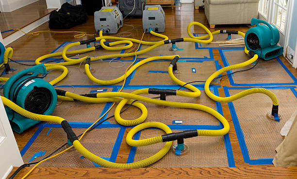 Professional Crawl Space Water Removal technician working in Pittsfield, IL